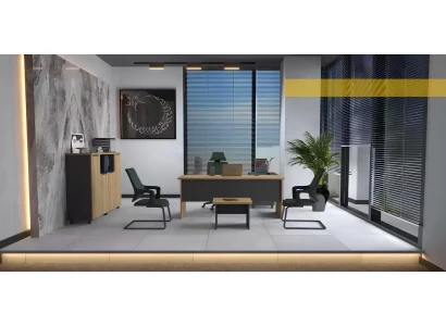 Dulap de birou modern