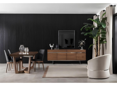 Set de scaune pentru dining, familie de mobilier, scaune, accesorii din lemn