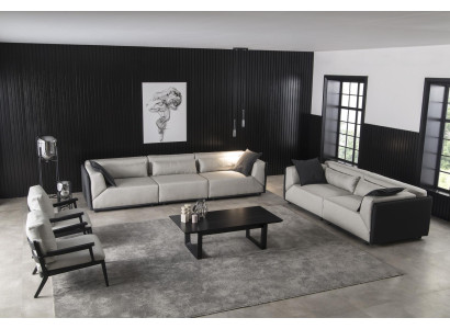 Set de 3+1 locuri hengen Poltrona Mobilier pentru living 2 piese Nou