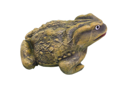 Design Frosch Figur Garten Statue Skulptur Figuren Skulpturen Dekoration c549