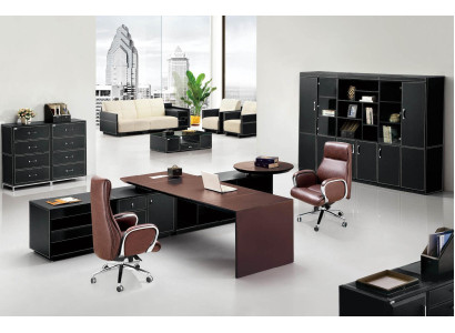 Büromöbel Einrichtung Schreibtisch Arbeitszimmer Office Komplettset 2tlg.