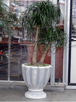 Design Blumentopf Deko Top Planz Kübel Gefäß Töpfe Figur Gesicht Skulptur