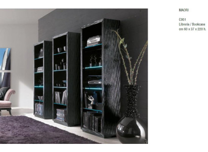 Wohn Zimmer Schränke Regale Bücher Schrank System Möbel Design Trenn Wand Regal