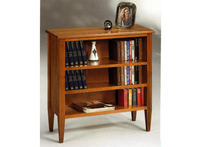 Bücherschrank Vitrine Sammlerschrank Regal Massiv Holz Mäbel Regale Schränke Neu