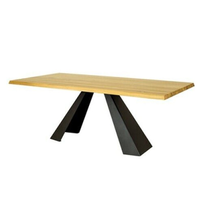 Esstisch Besprechungs Tische 220*100 cm Holz Konferenztisch Neu Vollholz Möbel