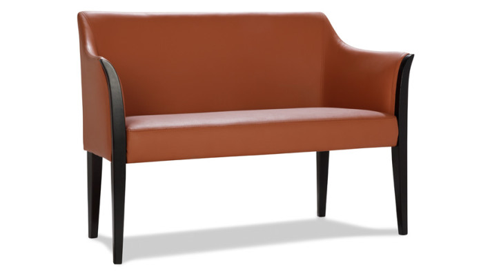 Sofa Couch Design Couch Polster Leder Modern Zweisitzer Sitzer Bank 2 Sitzer