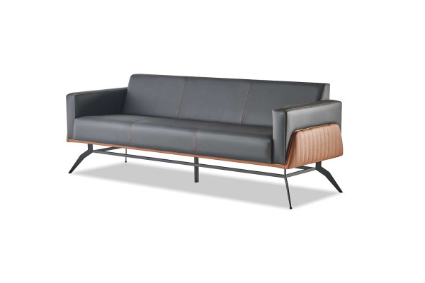 Sofa-Set Schwarz Braun 3-Sitzer Komplett Ledersofas Modern Edelstahl
