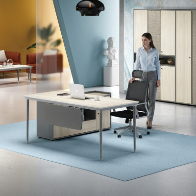 Schreibtisch  Aktenschrank Büro Einrichtung Möbel Schreibtische Tische 2tlg.Set