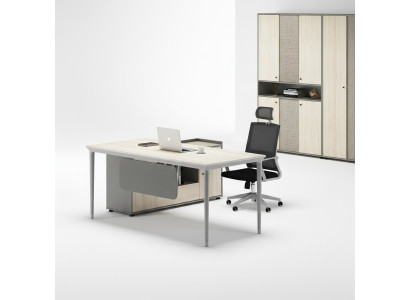 Schreibtisch  Aktenschrank Büro Einrichtung Möbel Schreibtische Tische 2tlg.Set