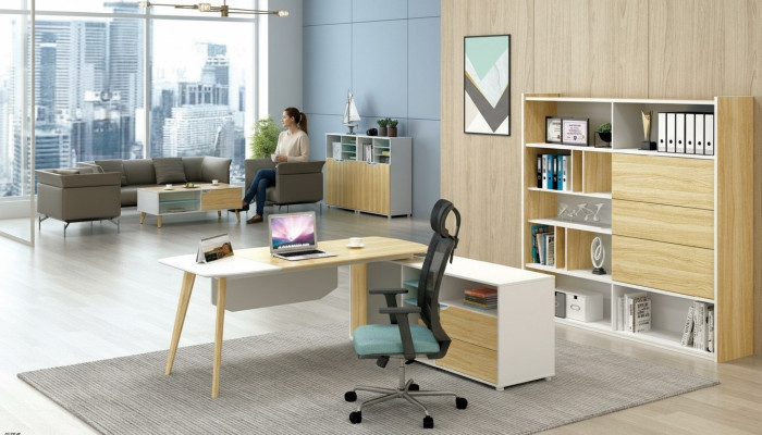 Tisch & Aktenschrank Büroeinrichtung 2tlg. Chef Regal Set Schreibtisch