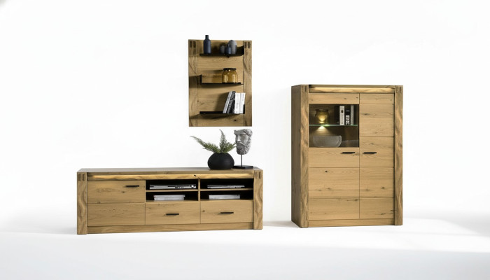 Modernes Design Wohn Wand Wohnzimmer Sideboard RTV Regal Vitrine