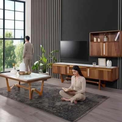 Sideboard tv Lowboard rtv Schrank Tisch Wohnzimmer Holz Modern Wohnwand Möbel