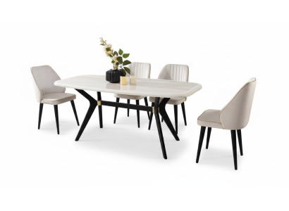 Esszimmer Set Garnitur Sitz Polster Möbel Essgruppe Esstisch 5tlg.