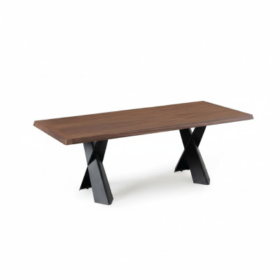 Esstisch Tisch Holz Möbel Design Esszimmer Tische Design Holztisch 220x100cm