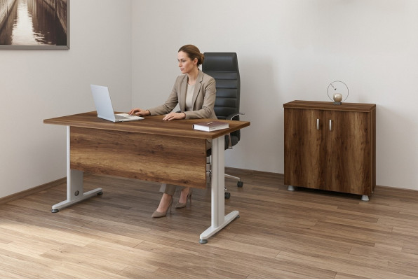 Komplettes Büromöbel Set Arbeitszimmer Schrank Schreibtisch 2tlg