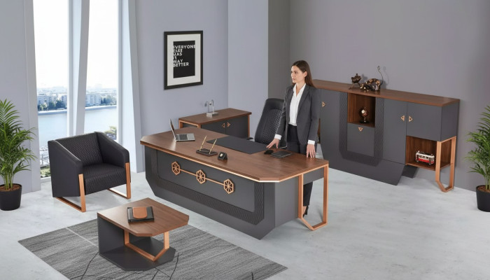 Büromöbel-Set Luxus Arbeitszimmermöbel Schreibtisch Schränke Couchtisch