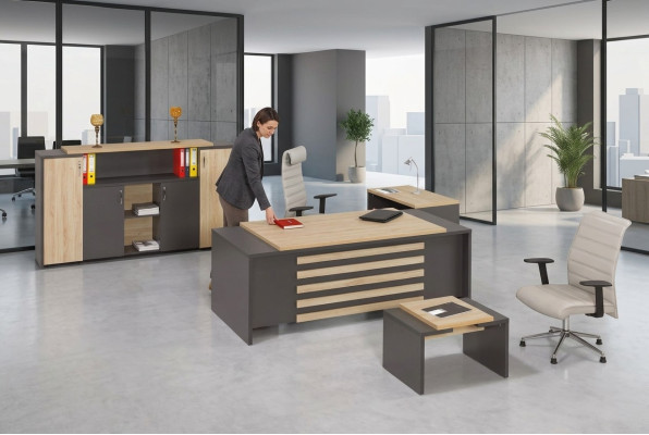 Büro Set Designer Arbeitszimmermöbel Büroschrank Schreibtisch Luxus 3tlg