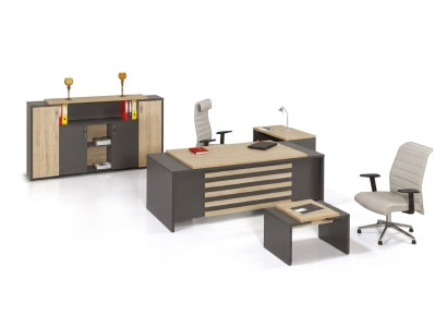 Büro Set Designer Arbeitszimmermöbel Büroschrank Schreibtisch Luxus 3tlg