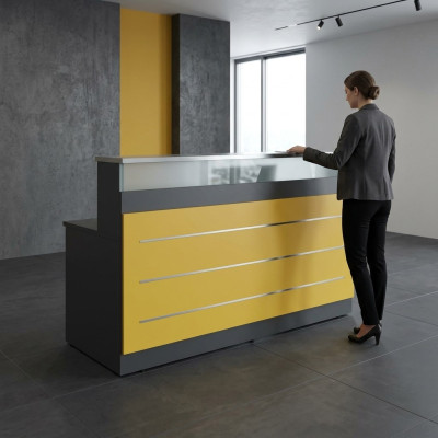 Büro Einrichtung Rezeption Arbeitszimmer Moderne Designer Office Neu