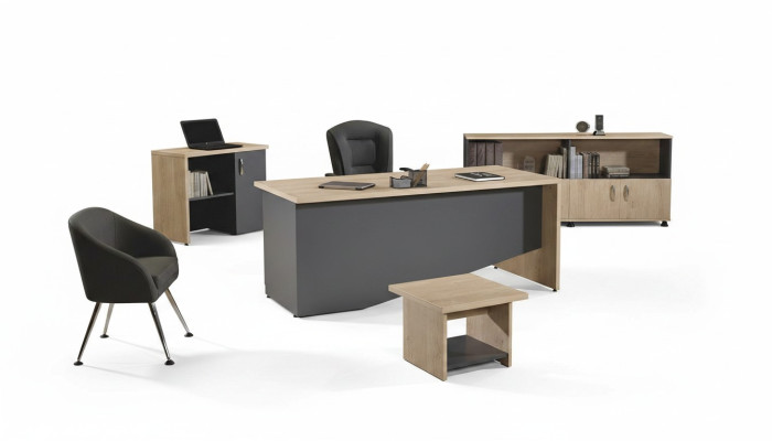 Tisch Büro Möbel Arbeitszimmermöbel Schreibtisch Set 4tlg Holz Grau