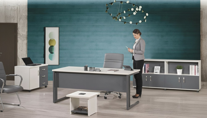 Büromöbel Grau Set 4tlg Schreibtisch Komplettbüro Schrank Holz Gruppe
