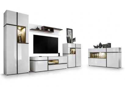 Set 5 tlg Wohnzimmer TV-Ständer Schrank Wohnwände Holz Modern Möbel Neu