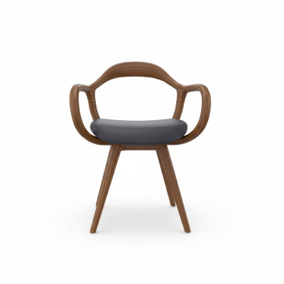 Stühle Wohnzimmer Esszimmer Lehnstuhl Holzstuhl mit Armlehne Esszimmer Möbel