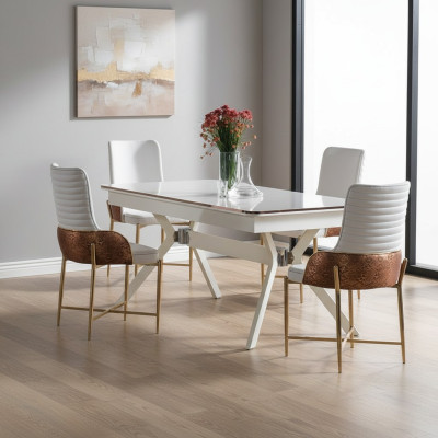 Garnitur Esszimmer Stuhl Set 6x Stühle+Esstisch Luxus Möbel Gruppe Garnitur Neu