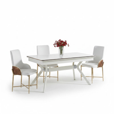 Garnitur Esszimmer Stuhl Set 6x Stühle+Esstisch Luxus Möbel Gruppe Garnitur Neu