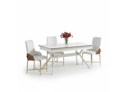 Garnitur Esszimmer Stuhl Set 6x Stühle+Esstisch Luxus Möbel Gruppe Garnitur Neu
