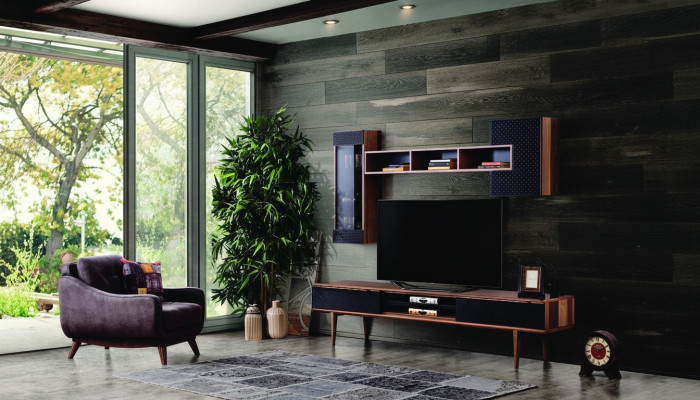 Luxus Wohnwand rtv Lowboard tv Ständer Wohnzimmer Möbel Wandschränke