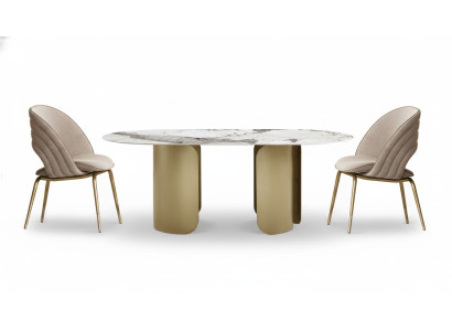 Exclusive Esszimmer Set Besteht aus 5tlg. Esstisch + 4x Stühle Luxus Komplett