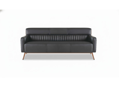 Arbeitszimmer 3-Sitzer Sofa Schwarz Einfarbig Modern Design Wohnzimmer