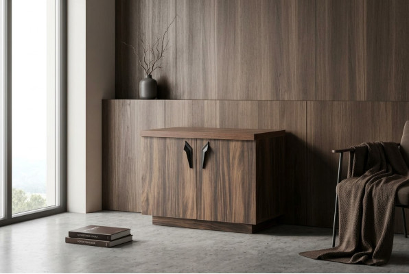 Kommode Braun Zweitürig Büro Arbeitszimmer Modern Rechteckig Sideboard