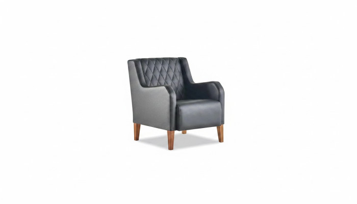 Lehnsessel Schwarz Sessel Leder Holz Modern 1-Sitzer Weiche Sitzmöbel