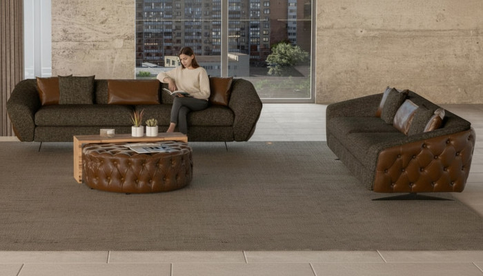 Set de canapea modern 2x pentru casa ta